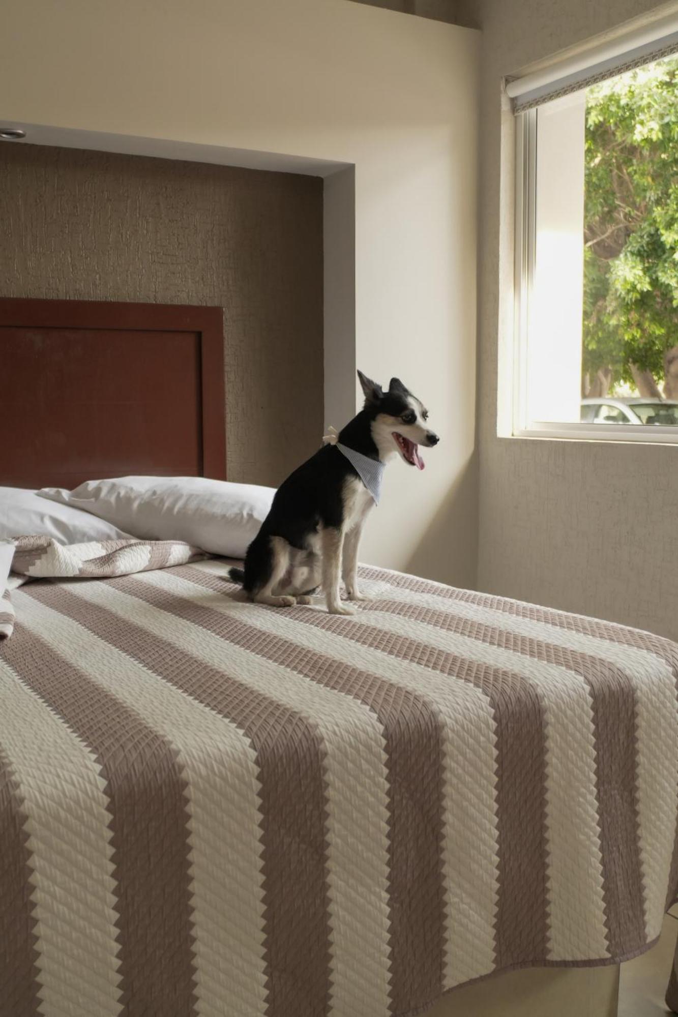Hotel San Marcos Aguascalientes Zewnętrze zdjęcie