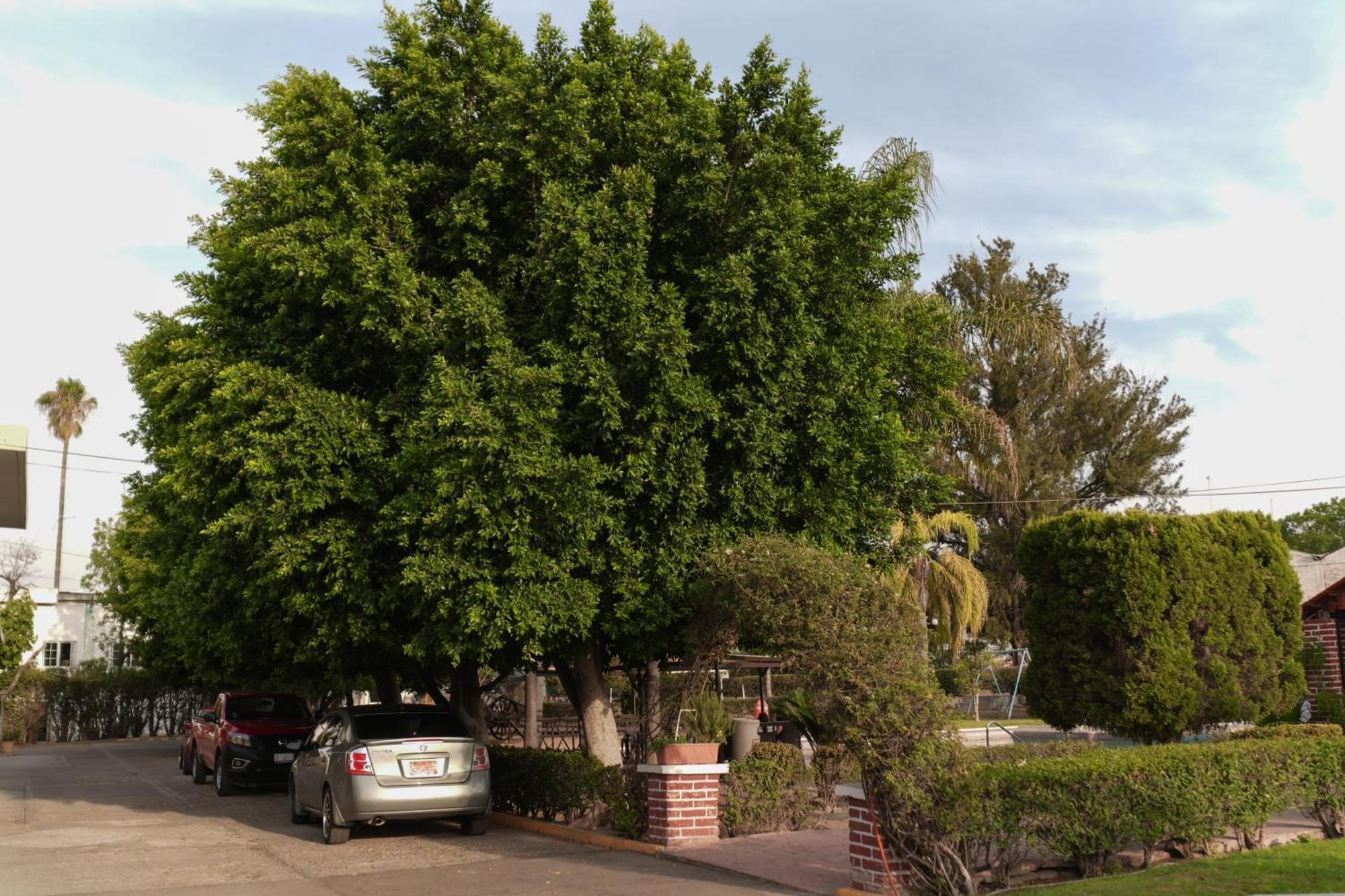 Hotel San Marcos Aguascalientes Zewnętrze zdjęcie