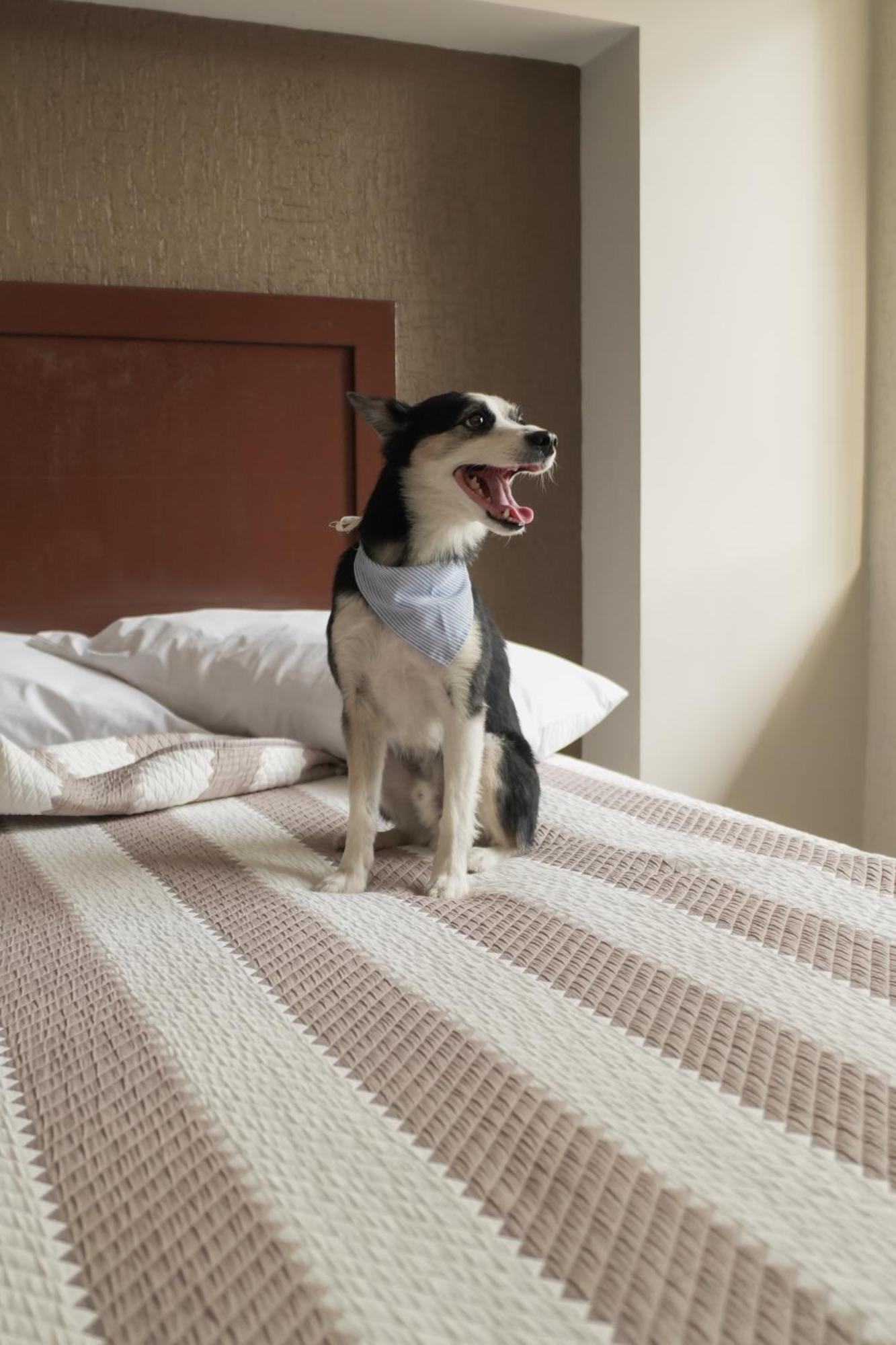Hotel San Marcos Aguascalientes Zewnętrze zdjęcie